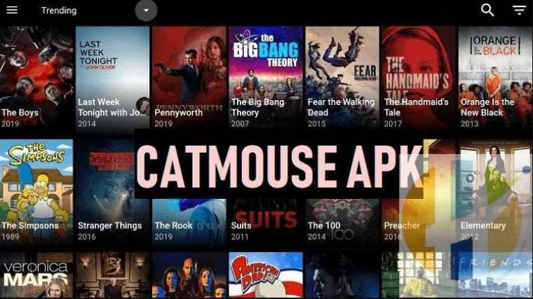cat mouse application