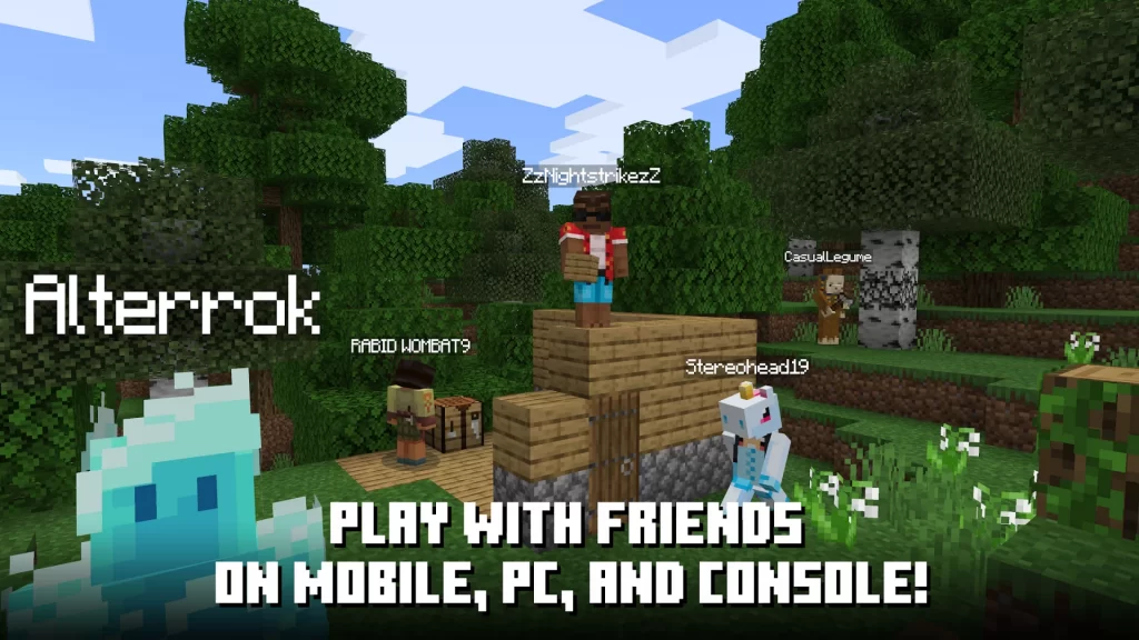 Multiplayer Game Mode