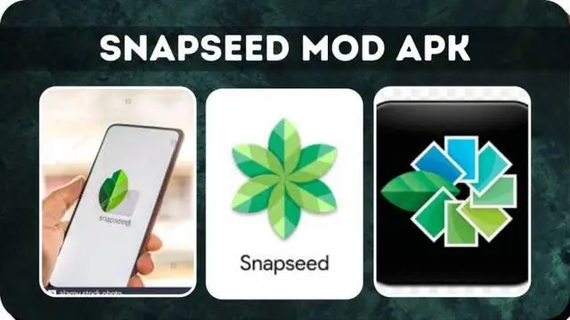 Snapseed MOD APK
